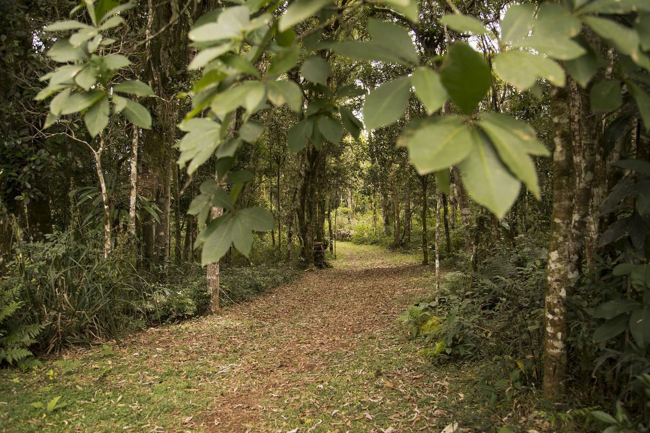 Refugio Monte Olimpo Hotel Campo Alegre  Ngoại thất bức ảnh