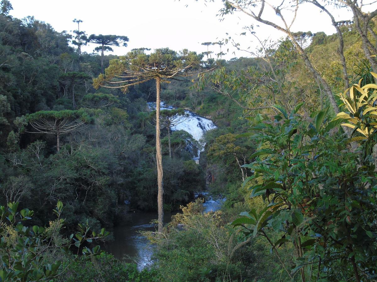 Refugio Monte Olimpo Hotel Campo Alegre  Ngoại thất bức ảnh