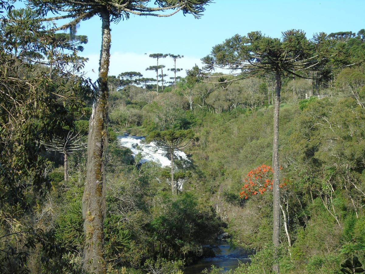 Refugio Monte Olimpo Hotel Campo Alegre  Ngoại thất bức ảnh