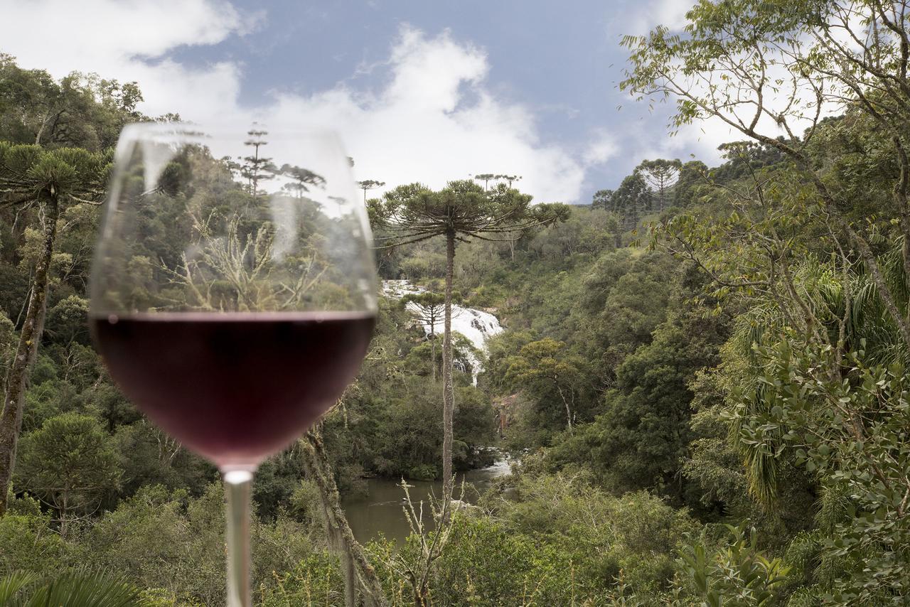 Refugio Monte Olimpo Hotel Campo Alegre  Ngoại thất bức ảnh