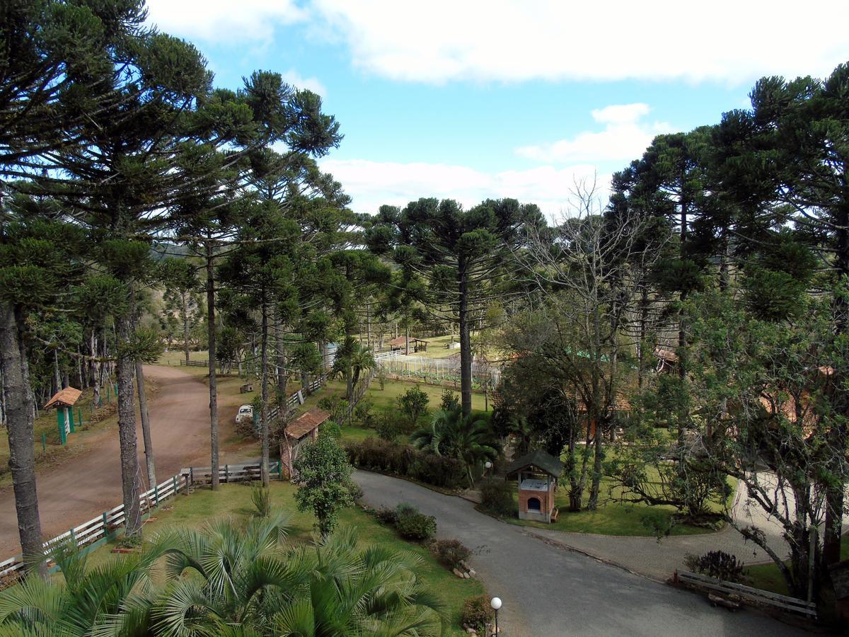 Refugio Monte Olimpo Hotel Campo Alegre  Ngoại thất bức ảnh